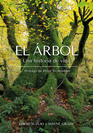 ÁRBOL, EL