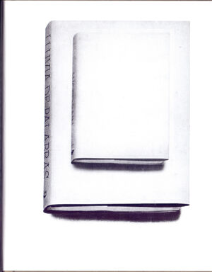 LLUVIA DE PALABRAS (O UNA INTRODUCCIÓN DISCURSIVA A LAS ÍNTIMAS INVESTIGACIONES FILOSÓFICAS DE G.R.E.T.A. G.A.R.B.O. DICE)