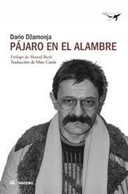 PÁJARO EN EL ALAMBRE