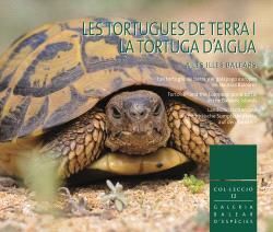 TORTUGUES DE TERRA I LA TORTUGA D?AIGUA A LES ILLES BALEARS, LES