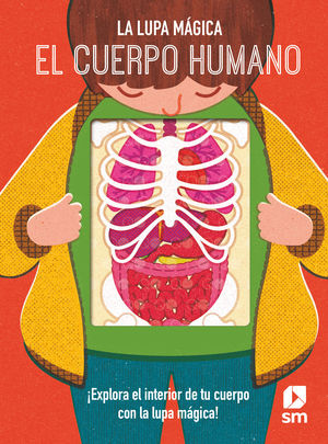 CUERPO HUMANO, EL