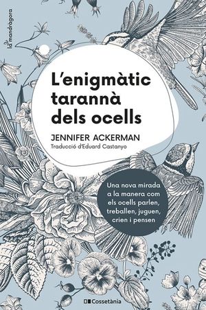 ENIGMÀTIC TARANNÀ DELS OCELLS, L'