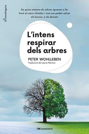 INTENS RESPIRAR DELS ARBRES, L'