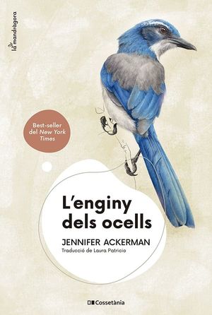 ENGINY DELS OCELLS, L'