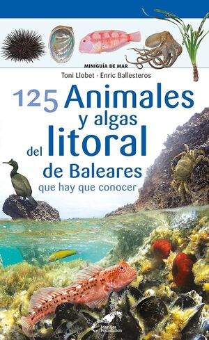 125 ANIMALES Y ALGAS DEL LITORAL DE BALEARES QUE HAY QUE CONOCER