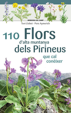 101 FLORS D´ALTA MUNTANYA DELS PIRINEUS