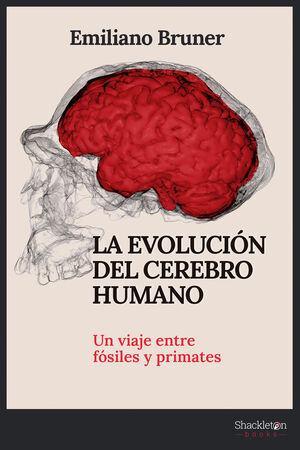 EVOLUCIÓN DEL CEREBRO HUMANO, LA