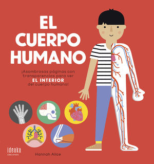 CUERPO HUMANO, EL