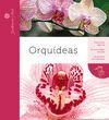 ORQUÍDEAS