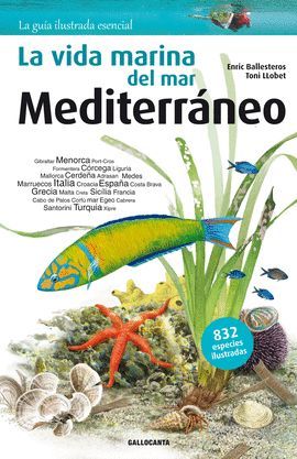 VIDA MARINA DEL MAR MEDITERRÁNEO, LA