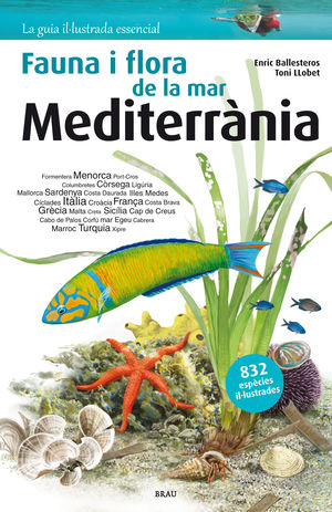 MEDITERRÀNIA, FLORA I FAUNA DE LA MAR