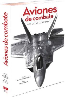 AVIONES DE COMBATE