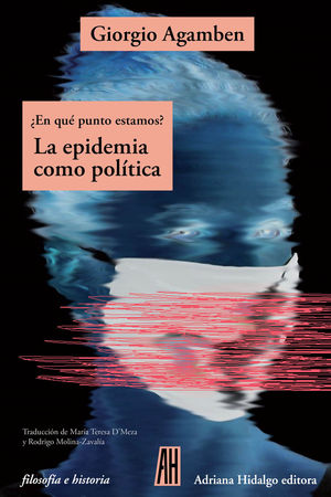 EPIDEMIA COMO POLITICA, LA