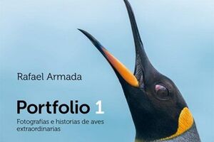 PORTFOLIO 1