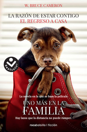 RAZÓN DE ESTAR CONTIGO III, LA. EL REGRESO A CASA