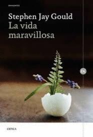 VIDA MARAVILLOSA, LA