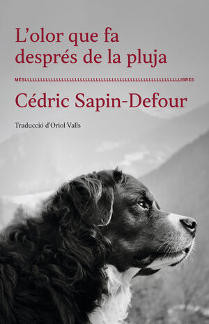 OLOR QUE FA DESPRÉS DE LA PLUJA, L´