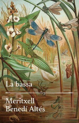 BASSA, LA