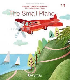 SMALL PLANE, THE