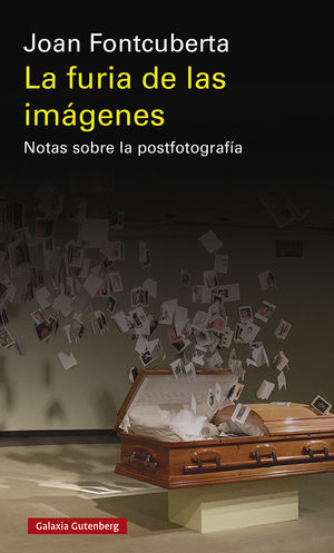 FURIA DE LAS IMÁGENES, LA