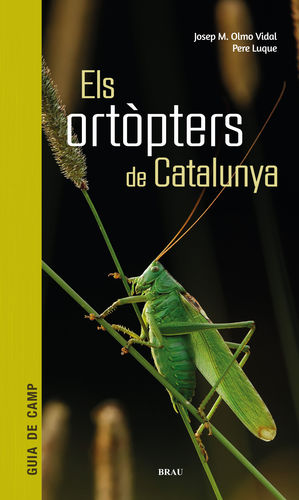 ORTÒPTERS DE CATALUNYA, ELS