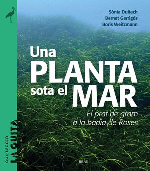 PLANTA SOTA EL MAR, UNA