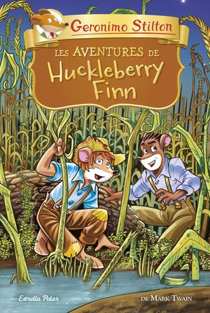 AVENTURES DE HUCKLEBERRY FINN, LES