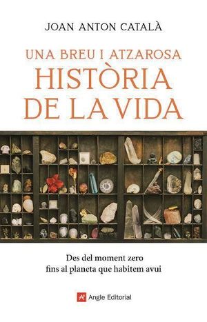 BREU I ATZAROSA HISTÒRIA DE LA VIDA, UNA