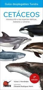 CETACEOS - INTRODUCCION A LAS ESPECIES IBERICAS, BALEARES Y CANARIAS