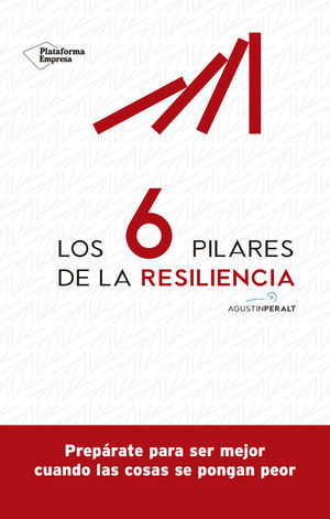 6 PILARES DE LA RESILIENCIA, LOS