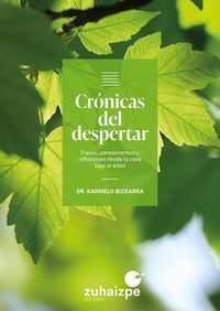 CRÓNICAS DEL DESPERTAR