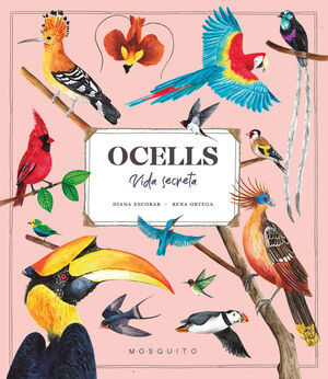 OCELLS.