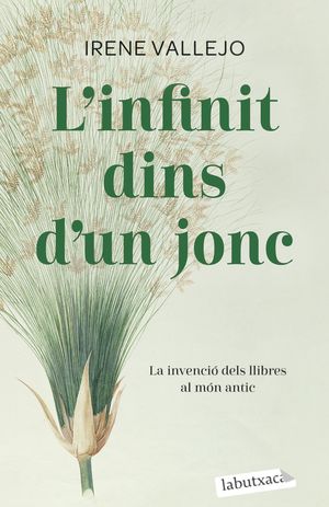 INFINIT DINS D'UN JONC, L'