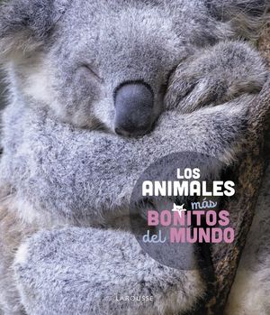 ANIMALES MÁS BONITOS DEL MUNDO, LOS