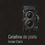 GELATINA DE PLATA