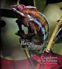 CAZADORES DE LA SABANA. DEPREDADORES SUPERDOTADOS