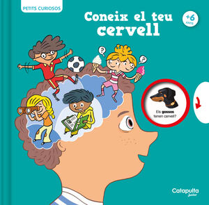 CONEIX EL TEU CERVELL