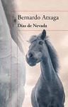 DÍAS DE NEVADA