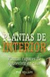 PLANTAS DE INTERIOR PLANTAS CAPACES DE SOBREVIVIR EN CASA