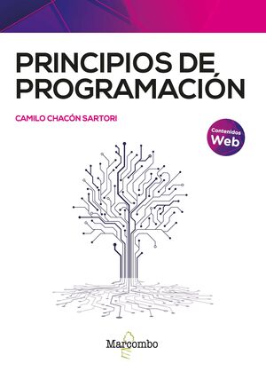 PRINCIPIOS DE PROGRAMACIÓN