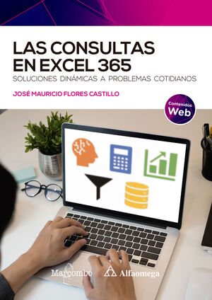 CONSULTAS EN EXCEL 365, LAS