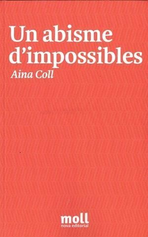 ABISME D'IMPOSSIBLES, UN