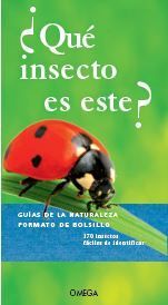 QUÉ INSECTO ES ESTE?