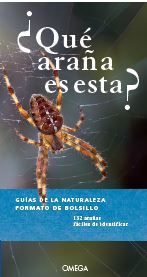 QUÉ ARAÑA ES ESTA?