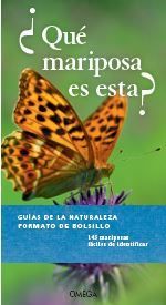 QUÉ MARIPOSA ES ESTA?