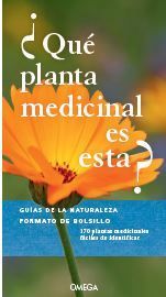 QUÉ PLANTA MEDICINAL ES ESTA?