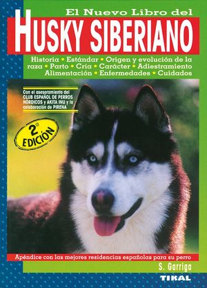 HUSKY SIBERIANO