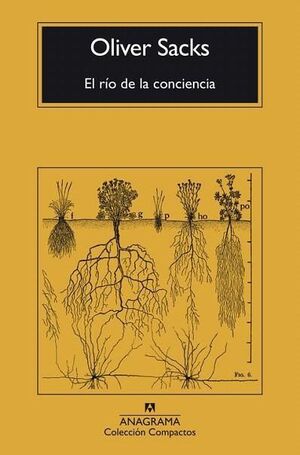 RÍO DE LA CONCIENCIA, EL