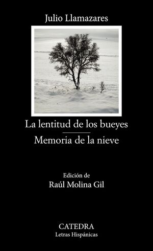 LENTITUD DE LOS BUEYES, LA/ MEMORIA DE LA NIEVE