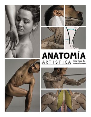 ANATOMÍA ARTÍSTICA